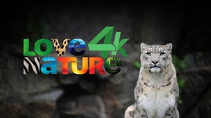 Love Nature
